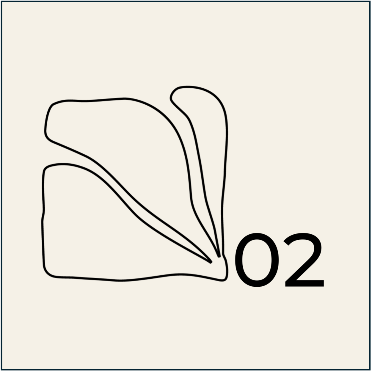 002 002