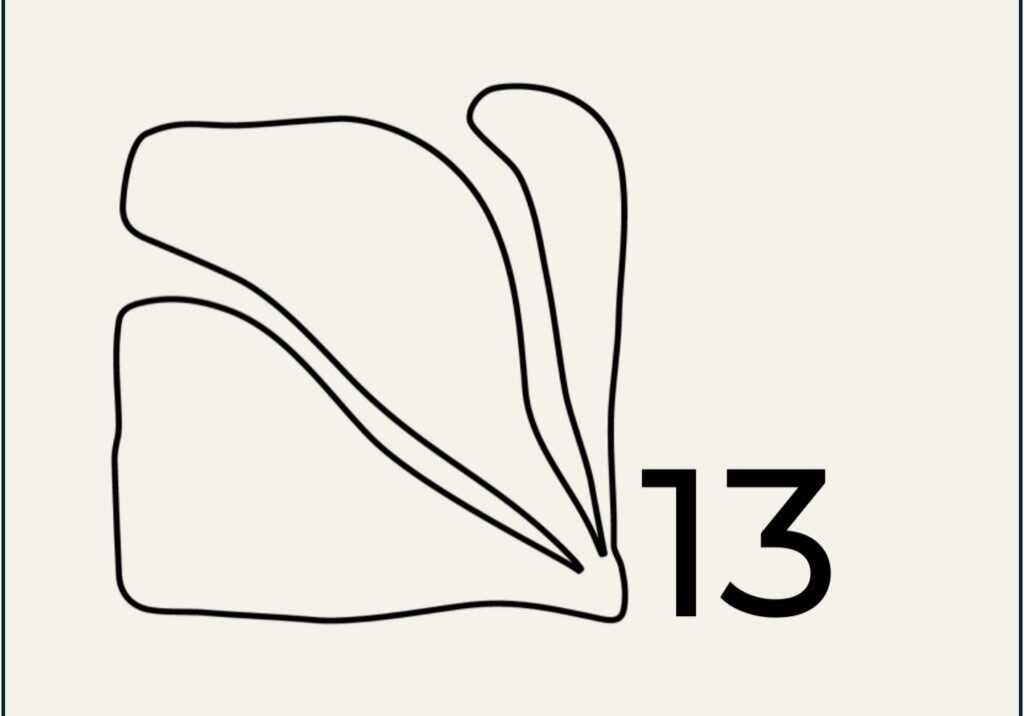 13png