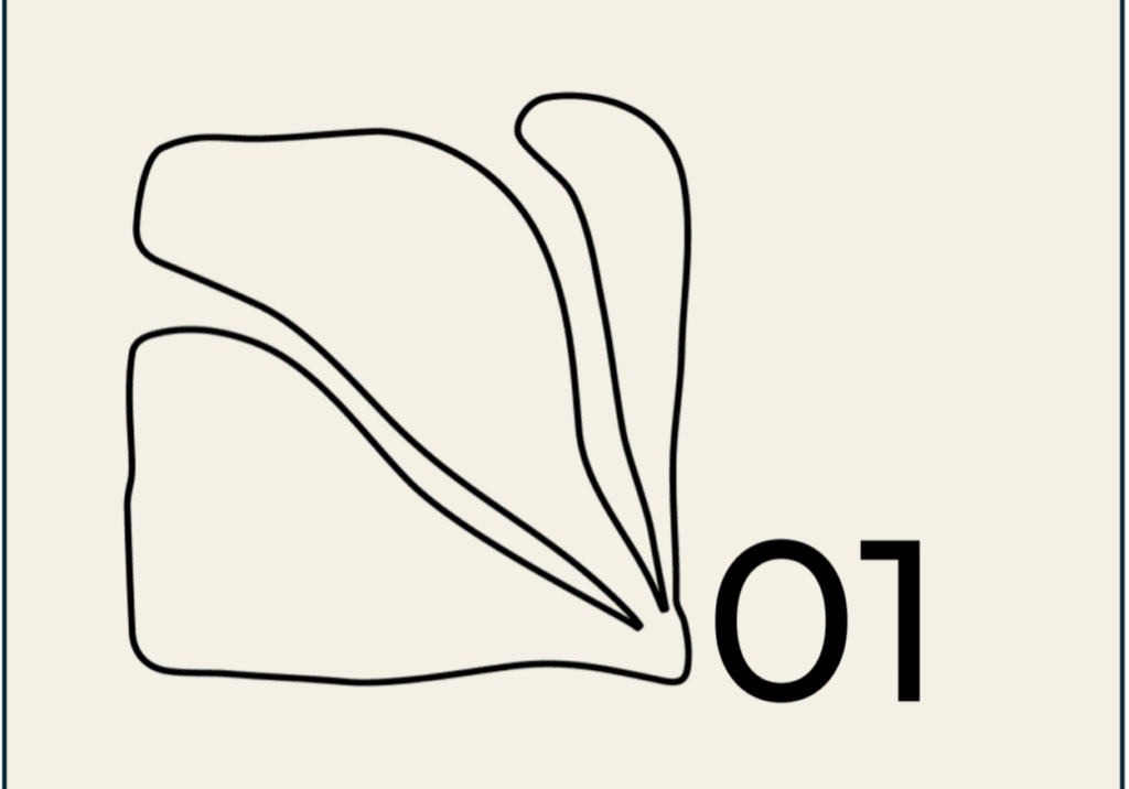 Meditation 01